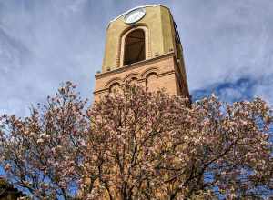 Clocktower at Forest Park in St. Louis, Missouri in springtime.