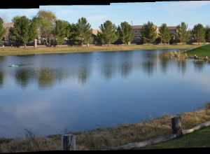 Greenfield Lakes, Gilbert, AZ, USA