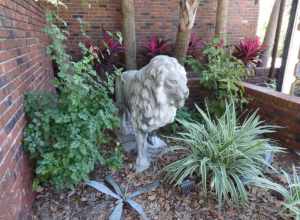 Lion statue, University Ave, Gainesville, Alachua County, Florida