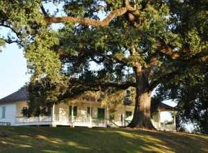 Magnolia Mound Plantation House