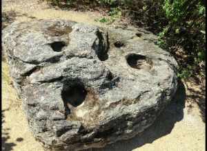 Maidu Center 395