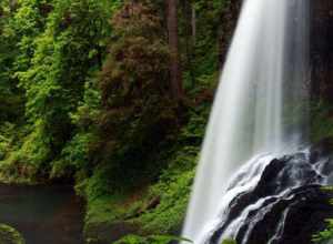 Height: 106 ft.

Silver Falls State Park in Sublimity, Oregon.