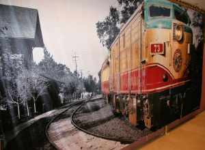 Napa Valley Wine Train, Napa Valley, California, USA
What is the Wine Train:
The Napa Valley Wine Train provides a relaxing three-hour thirty-six mile round-trip journey between the historic town of Napa through one of the world's most famous wine