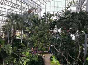 Interior of the Nicholas Conservatory in Rockford, IL