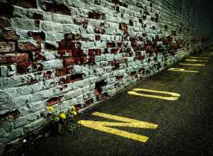 
500px provided description: No Parking [#street ,#asphalt ,#brick ,#wall ,#dandelion ,#parking lot ,#no parking ,#Red ,#Urban ,#Somerville ,#Massachusetts ,#Yellow ,#Urban Decay]