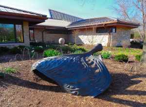 Olbrich Botanical Gardens- Bronze Hosta Leaf