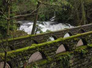 Whatcom Falls Park, Bellingham, Wash. The bridge is so old it has moss and ferns growing on it, making it blend in with the forest.