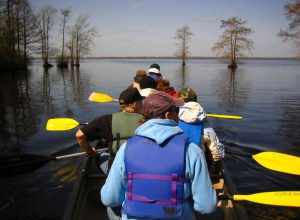 Great Dismal Swamp National Wildlife Refuge. Credit: USFWS