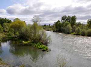 The Rogue River flows through TouVelle State Recreation Site, north of Medford in the U.S. state of Oregon. View is upstream (east) from the bridge carrying Table Rock Road.