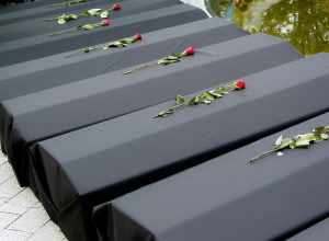 Roses placed on a row of replica coffins, representing soldiers that lost their lives in the Iraq War, at an anti-war protest held in front of the Women's Memorial at the entrance to Arlington National Cemetery.
More at The Schumin Web:
&lt;a