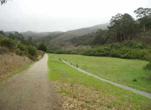When I started out walking I thought that it was just foggy.  I realized I was wrong pretty quickly when it started to pour.  But I needed a walk and the fresh air so badly I just kept going.