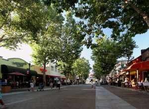 Saturday at Sunnyvale