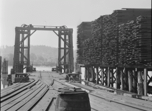 Seattle Cedar Lumber Company Mill in Ballard, 1915. Shortly afterward, this area was flooded when the water level was raised by the Ballard Locks (now Hiram M. Chittenden Locks).