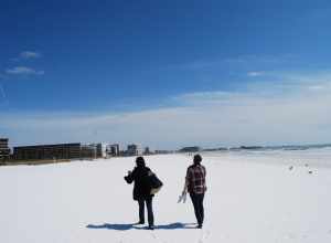 Siesta Key Beach. Sarasota