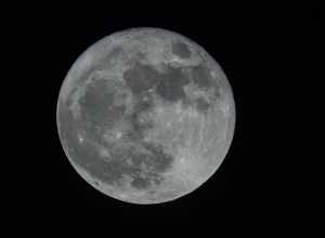 
500px provided description: Super Moon in Garland, Texas [#Landmark ,#Super Moon ,#Once in a while]