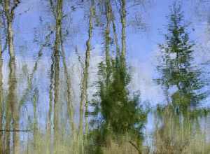 Hike at our local Minto Brown park had some amazing reflections today. Water reflections create great impressionism!