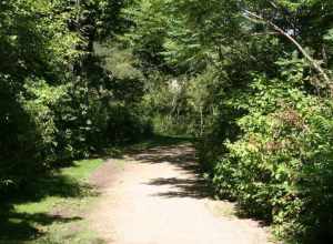 Historic wildlife sanctuary known locally as Mahony Farm, in Kenilworth, IL