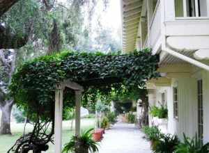 Will Rogers House, 14253 Sunset Blvd. Pacific Palisades