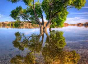 
500px provided description: Same photo with a few clouds... [#reflection ,#tree ,#arizona ,#az ,#prescott ,#watson lake ,#michael wilson]