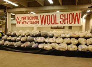 Wool Show at the National Western Stock Show 2008