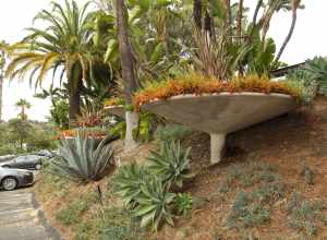 Planters at Dodger Stadium.