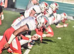 Mentor Cardinals