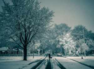 
500px provided description: Surprise Snow Storm turns city into snowglobe [#trees ,#winter ,#spring ,#night ,#white ,#snow ,#storm]