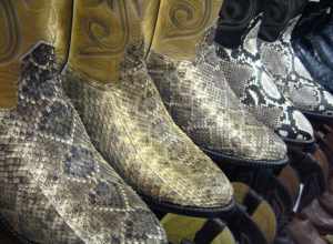 Snakeskin boots, Saba's Western Store, Scottsdale, AZ, USA.