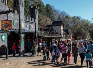 Carolina Renaissance Festival, Nov 2015