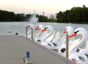 Essex County Paddle Boats at the Orange Reservoir in West Orange, New Jersey