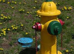 Fire Hydrant outside Weymouth Walgreens