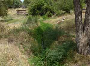 Acequia System of El Rancho de las Golondrinas