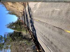 Hazard tree after being cut on a steep vertical slope.