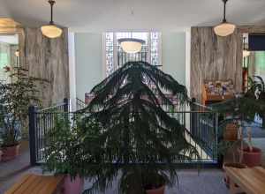 On the second (street-level) floor looking toward Main Street