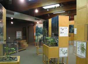 Nature Center and Planetarium in Rock Creek Park (5200 Glover Road Northwest, Washington, DC 20015)