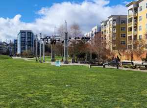 Redmond Central Connector Park, Redmond, Washington