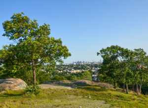 A Leisurely Stroll Through the Waitt's Park on Waitt's Mountain