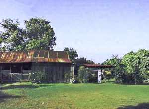 A panorama of the farmhouse — at the Kona Coffee Living History Farm. 
Of the Kona Historical Society — Kealakekua (Captain Cook), Kona district, on the Big Island of Hawaiʻi.