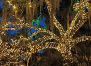 At the annual Christmas event at Brookgreen Gardens, the gardens are spruced up to include lights.