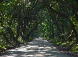 Botony Bay Road #1