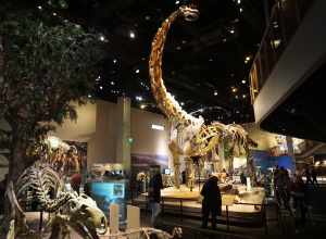 The Life Then and Now Hall inside the Perot Museum of Nature and Science in Dallas, Texas (United States).