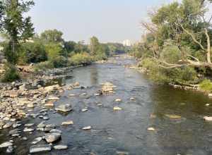 Also smoke from nearby fires.  It's the lowest I've seen the river it in the five years I've lived here.
The Truckee is fed by a dam at its source at Lake Tahoe, so the water level can be regulated.  This year's drought was predicted earlier in the