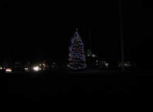 Christmas tree on the Lexington Common, Lexington Massachusetts