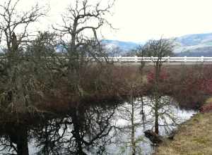 Winter view of a vernal pool adjacent to the Columbia River Highway atop the Rowena Plateau, near Mosier, Oregon, United States. 
The distant hills are across the Columbia River in Klickitat County, Washington.