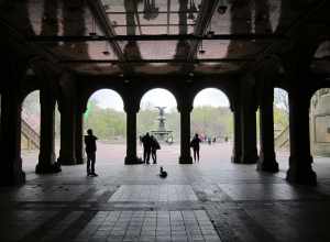 Central Park, New York, NY, USA