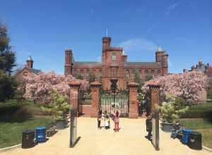 Enid A. Haupt Garden - Washington DC - USA