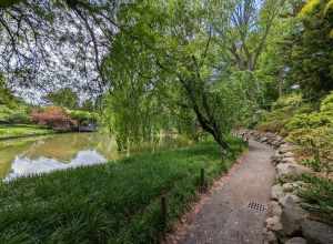 Brooklyn Botanic Garden 6/23