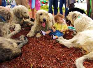 Aie! Les gars on le lèche ou on le dévore, hi! hi! We eat him here or we take him to go?   Woff. Woff!