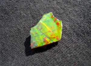 Fossil shell of an ammonite. Found like this only on the eastern slopes of the Rockies in southern Alberta, one of the rarest of gemstones. This 2cm, grade A+, specimen shows all colors (including blue), has good prismatic chromatic shift, and