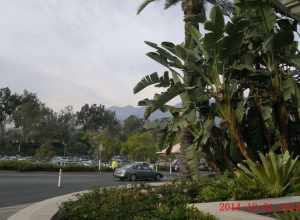 Arcadia, CA, USA